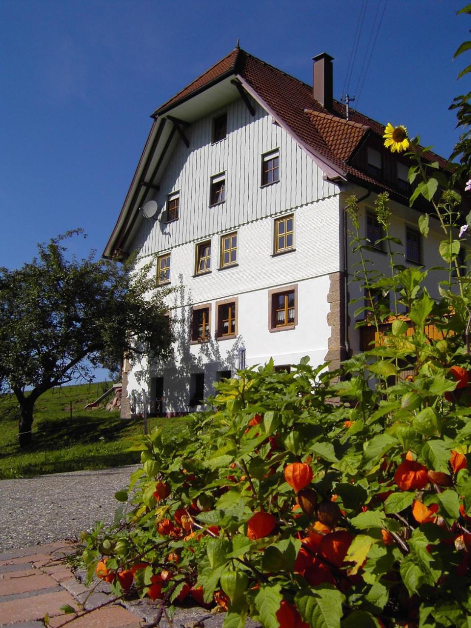 Fehrenbacherhof Naturgaestehaus Lauterbach  Extérieur photo